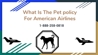 What Is The Pet Policy For American Airlines 1-888-258-0818