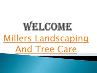 Get the best Tree pruning in Ashford