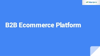 B2B Ecommerce Platform