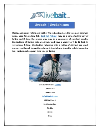 Livebait | LiveBait.com