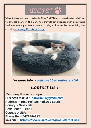automatic pet feeder online USA