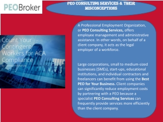 PEO Consulting Services & Their Misconceptions