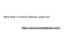 Criminal Defense Lawyer-converted