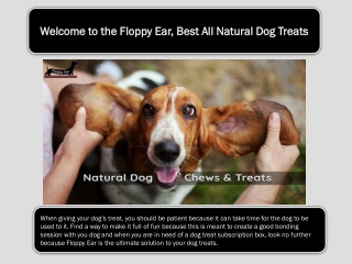 Welcome to the Floppy Ear, Best All Natural Dog Treats