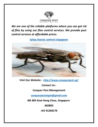 Lying Insects Control Singapore | Conquer Pest