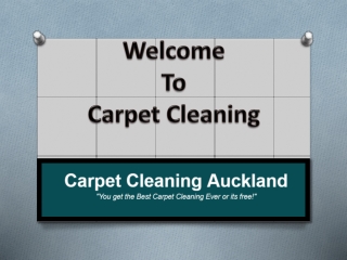 Carpet Cleaning Auckland | Hire Professional Rug Cleaners | 09-377 9044