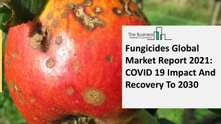 Fungicides Market Research Depth Study, Analysis, Growth, Trends, Forecast 2030