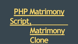 Best Matrimony Clone Script - Scriptstore.in