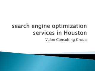 search engine optimization services in Houston