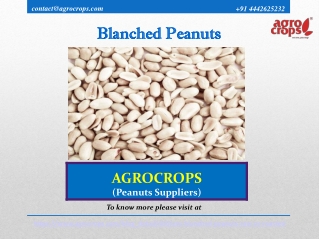 Know About Blanched Peanuts