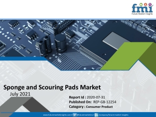 Sponge and Scouring Pads Market