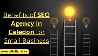 Benefits of SEO Agency in Caledon for Small Business