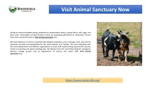 Visit Animal Sanctuary Now