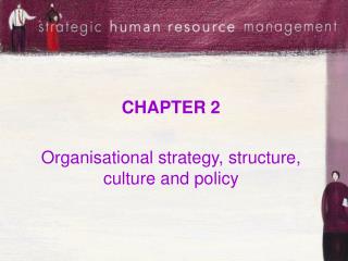 CHAPTER 2 Organisational strategy, structure, culture and policy
