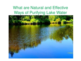 What are Natural and Effective Ways of Purifying Lake Water