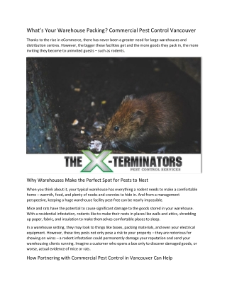 Whats Your Warehouse Packing Commercial Pest Control Vancouver