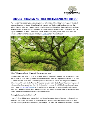 SHOULD I TREAT MY ASH TREE FOR EMERALD ASH BORER