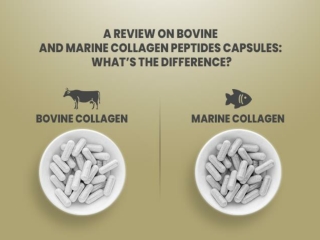A Review on Bovine and Marine Collagen Peptides Capsules What’s the Difference