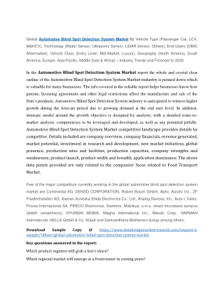 Automotive Blind Spot Detection System Market