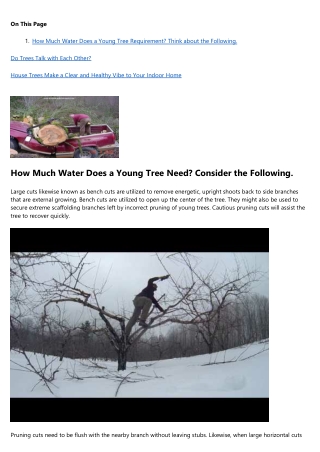7 Horrible Mistakes You're Making With tree removal