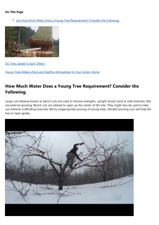 10 Signs You Should Invest in arborist