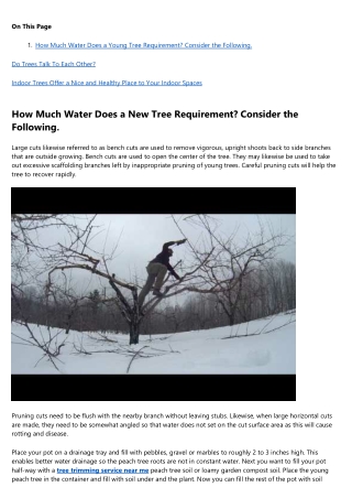 20 Resources That'll Make You Better at tree trimming