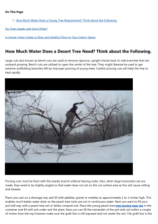 14 Savvy Ways to Spend Leftover tree removal Budget
