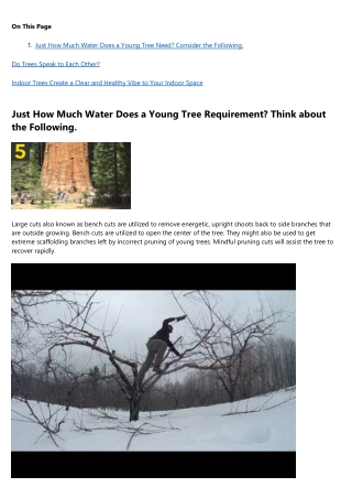 A Productive Rant About tree removal