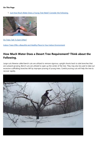 Are You Getting the Most Out of Your tree service?