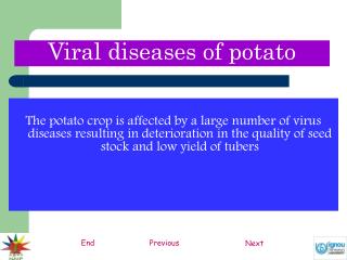 The potato crop is affected by a large number of virus diseases resulting in deterioration in the quality of seed stock