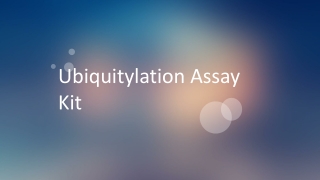 Ubiquitylation Assay Kit