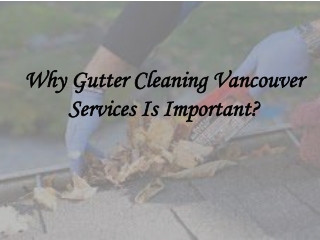 Why Gutter Cleaning Vancouver Services Is Important