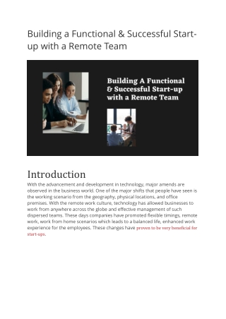 Building a Functional & Successful Start-up with a Remote Team