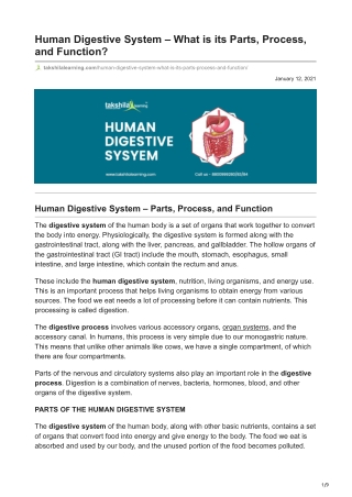 Human Digestive System - What is its Parts, Process, and Function?