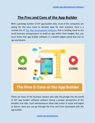 The Pros and Cons of the App Builder