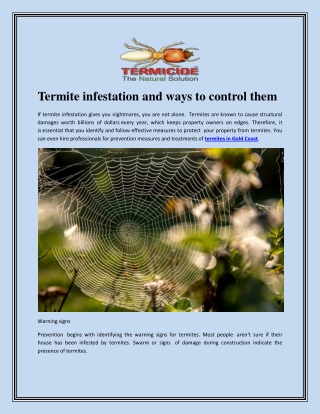 Termite infestation and ways to control them