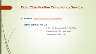 Data Classification Consultancy Service ppt 2