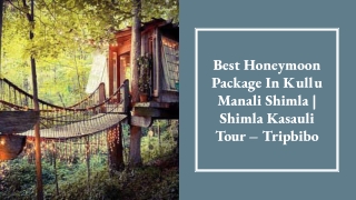 best honeymoon package in kullu manali