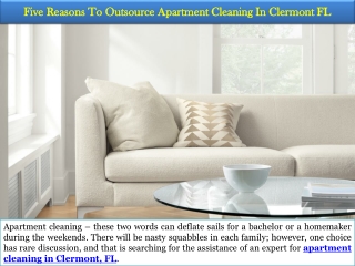 Five Reasons To Outsource Apartment Cleaning In Clermont FL