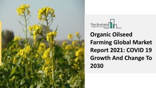 Organic Oilseed Farming Market Growth, Industry Trends, Demand Factors 2030