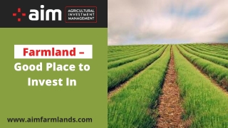 Farmland – Good Place to Invest In