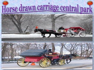 Horse drawn carriage central park