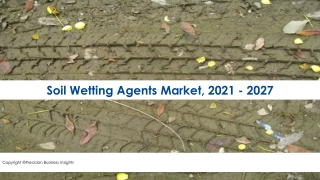 Soil Wetting Agents Market 2021 Growth Analysis And (COVID-19) Effect Analysis