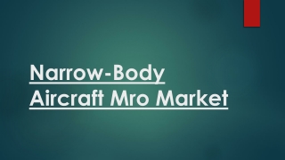 Narrow-Body Aircraft Mro Market
