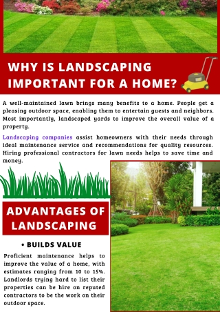 Get Your Lawn Experts In Colorado