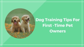 Dog Training Tips For First-Time Pet Owners