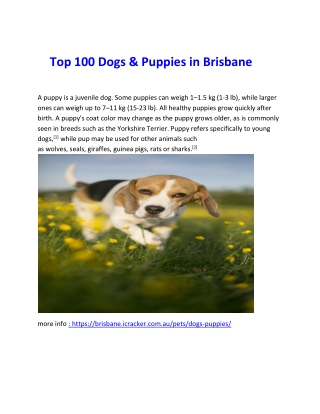Top 100 Dogs-converted