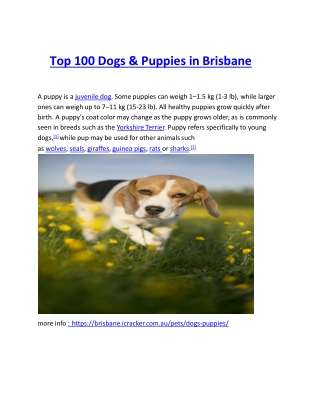 Top 100 Dogs-converted-converted (1)