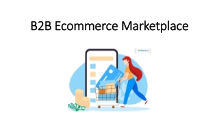 B2B Ecommerce Marketplace