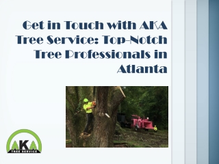 Get in Touch with AKA Tree Service: Top-Notch Tree Professionals in Atlanta